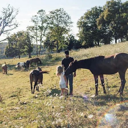Yourte Au Coeur Des Chevaux Kemping Saint-Mesmin